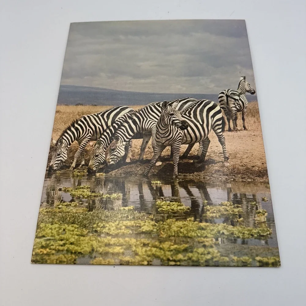FRIENDS OF THE EARTH Hytone Portfolio Vintage‎ Mead Folder Zebras
